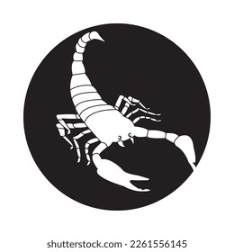 scorpion icon vector illustration logo design