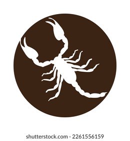 scorpion icon vector illustration logo design