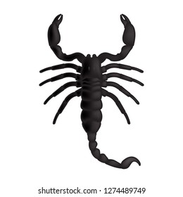 Scorpion icon. Vector realistic scorpion.