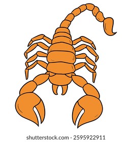 scorpion illustration hand drawn isolated vector