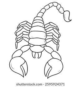 scorpion illustration hand drawn outline vector