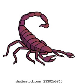 scorpion illustration,
isolated on white background.Top view