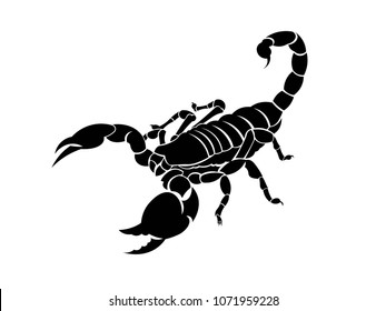 Иллюстрация Скорпиона на изолированном фоне
