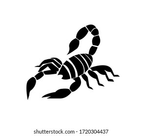 Scorpion illustration on isolated background