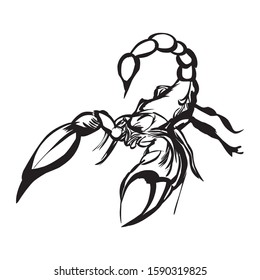 The scorpion illustration, suitable for creative logos and animal icons. Editable vector