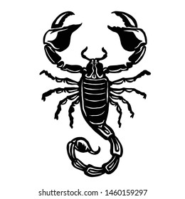 Scorpion iluustration logo vector template svg