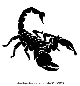 Scorpion iluustration logo vector template