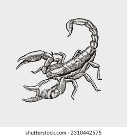 diseño vectorial vintage de tinta escorpión