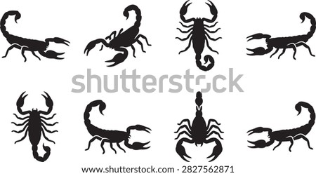 Scorpion insect and arachnid silhouettes with dangerous stingers