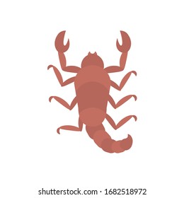 scorpion insect icon over white background, flat style, vector illustration