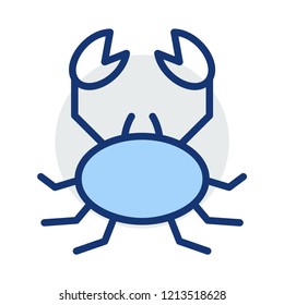 scorpion   insect   pet 