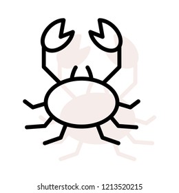 scorpion   insect   pet 