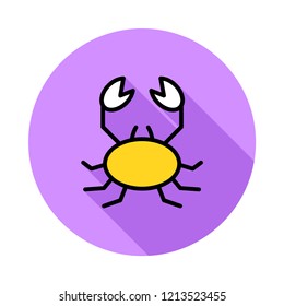 scorpion   insect   pet 