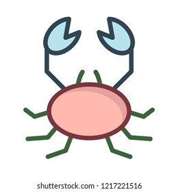 scorpion   insect   pet 