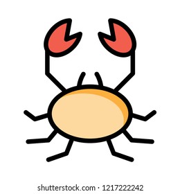 scorpion   insect   pet 