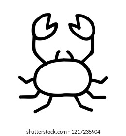 scorpion   insect   pet 
