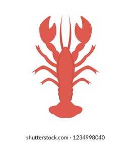 scorpion   insect   seafood  