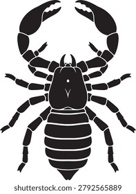 Scorpion insect silhouette, arachnid, predator, venomous creature graphic on transparent backdrop.