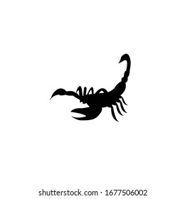 scorpion inspiration logo design, vector illustration