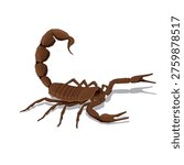 Scorpion isolated on white background. Vector illustration. Eps 10.