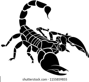 Scorpion isolated on white background. Vector illustration