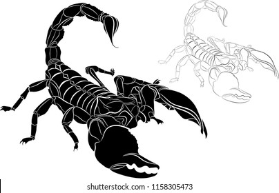 Scorpion isolated on white background. Vector illustration