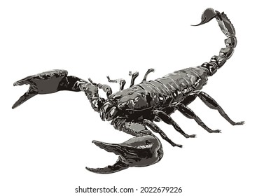 Scorpion isolated on white background, vector illustration