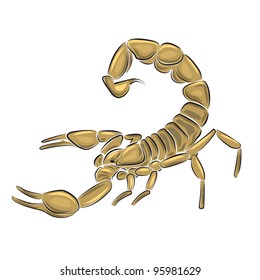 Scorpion isolated on white background, vector illustration.