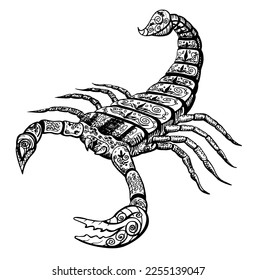 Scorpion linear illustration, doodle art. Freehand drawing for coloring books.