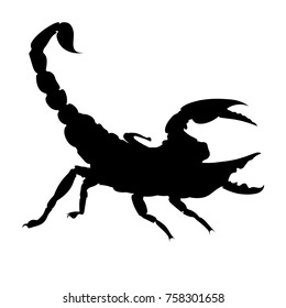 Scorpion logo  silhouette isolated sign symbol.vector on White Background.