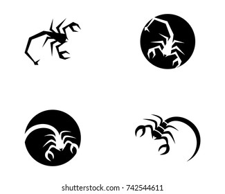 Scorpion Logo Template