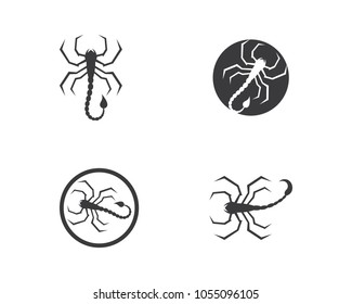 Scorpion Logo Template Vector illustration