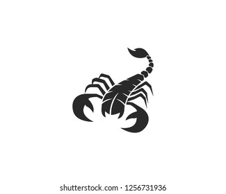 Scorpion Logo Template Vector illustration