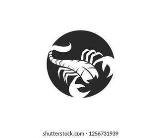 Scorpion Logo Template Vector illustration