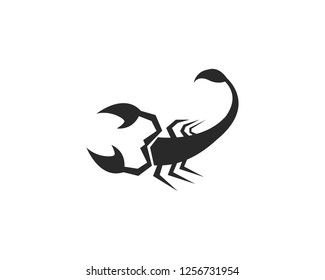 Scorpion Logo Template Vector illustration