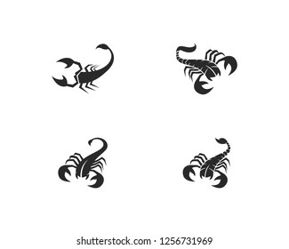 Scorpion Logo Template Vector illustration