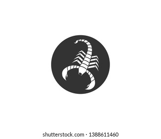 Scorpion Logo Template Vector illustration - Vector