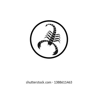 Scorpion Logo Template Vector illustration - Vector