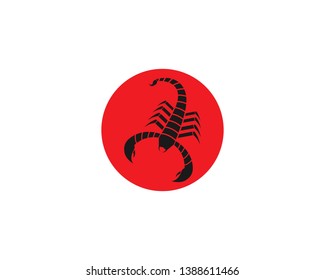 Scorpion Logo Template Vector illustration - Vector