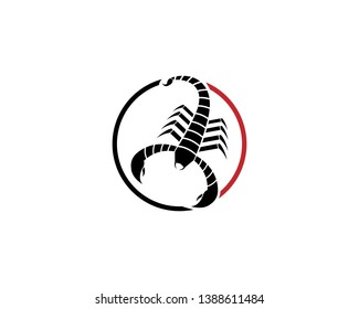 Scorpion Logo Template Vector illustration - Vector