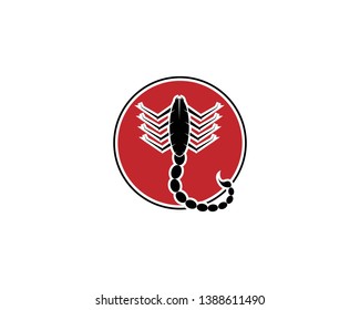 Scorpion Logo Template Vector illustration - Vector