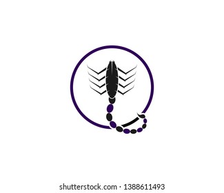Scorpion Logo Template Vector illustration - Vector