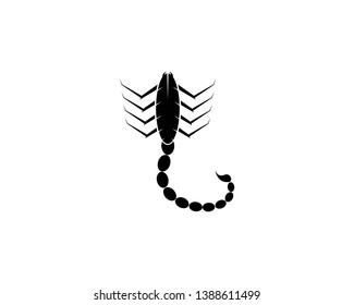 Scorpion Logo Template Vector illustration - Vector