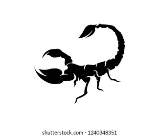 Scorpion Logo Template Vetor illustration
