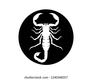 Scorpion Logo Template Vetor illustration
