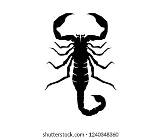 Scorpion Logo Template Vetor illustration
