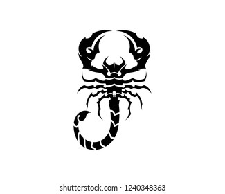 Scorpion Logo Template Vetor illustration
