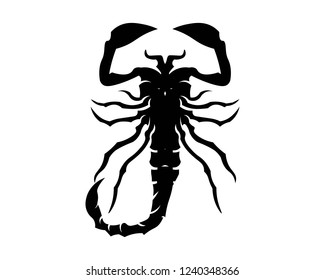 Scorpion Logo Template Vetor illustration
