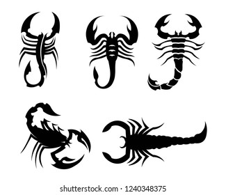 Scorpion Logo Template Vetor illustration
