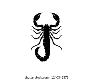 Scorpion Logo Template Vetor illustration
